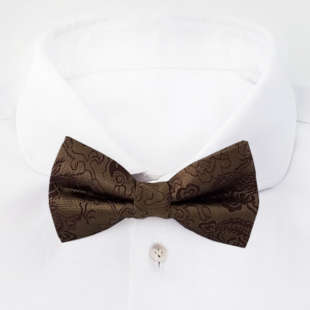Brown bow tie